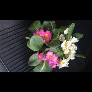 Meet your Posher, Jenny